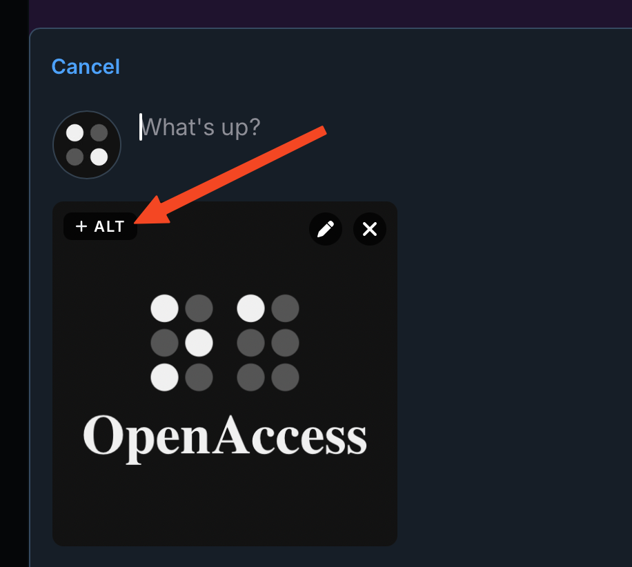 Red arrow pointing at 'ALT' button on a Bluesky image post